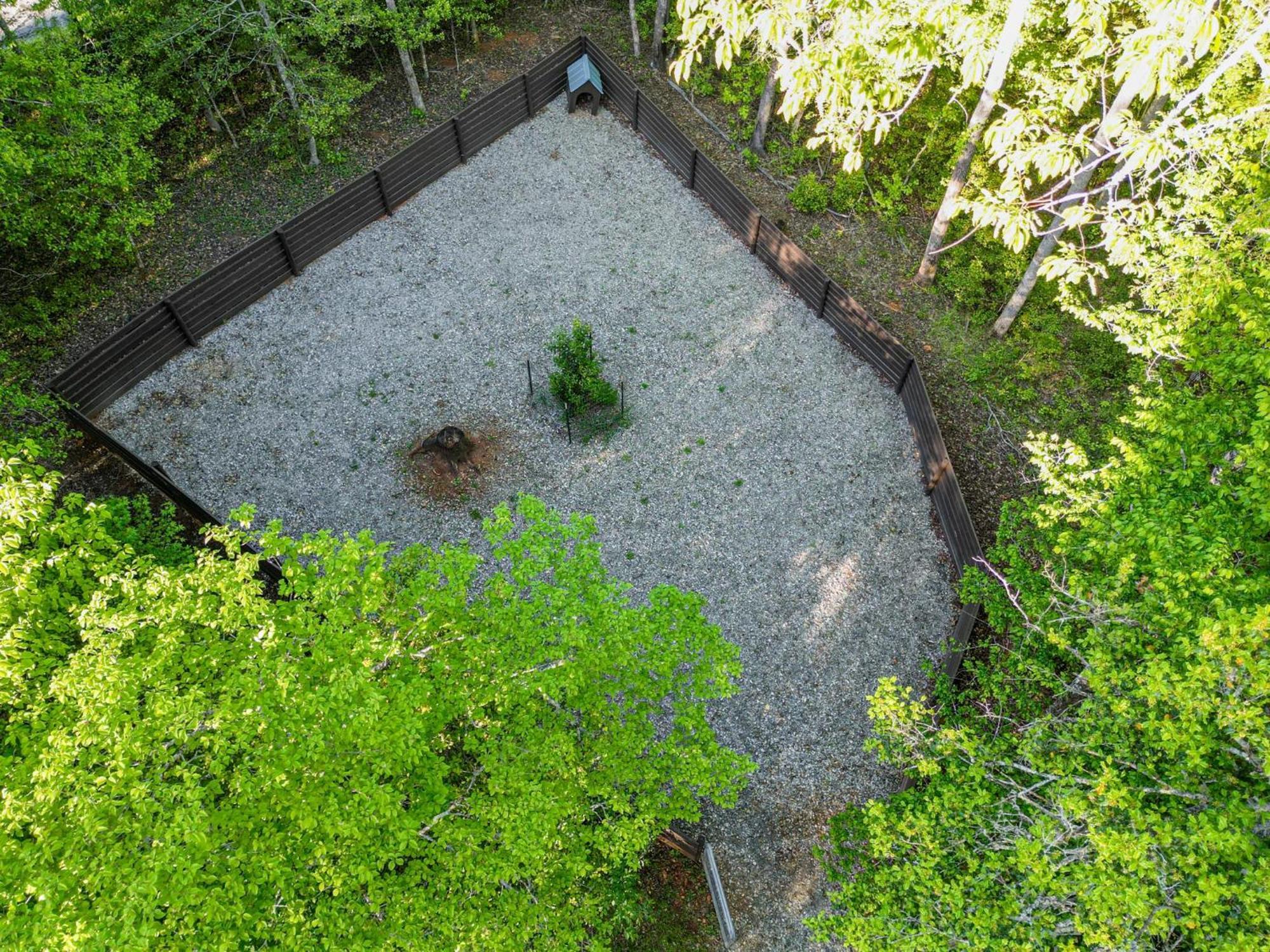 The Big Little Cabin - Hot Tub & Playground Dahlonega Εξωτερικό φωτογραφία