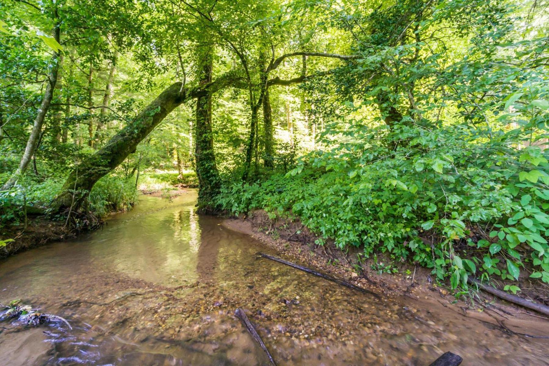 The Big Little Cabin - Hot Tub & Playground Dahlonega Εξωτερικό φωτογραφία